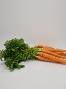 Carrot- Dutch (bunch)