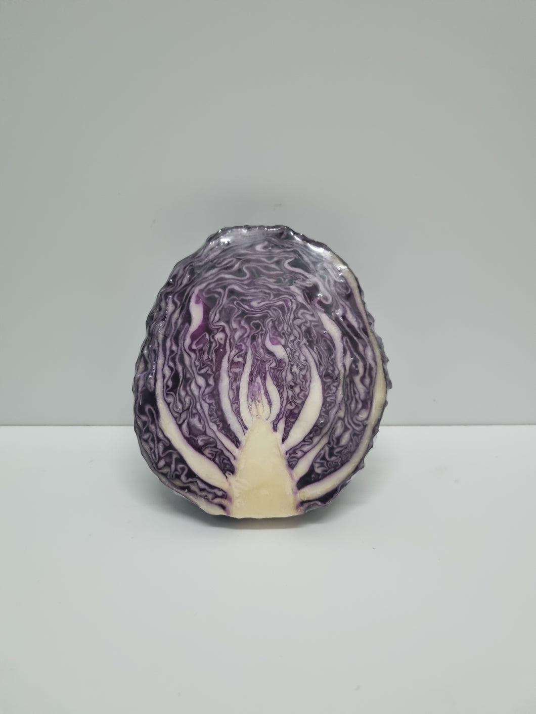 Cabbage- Purple