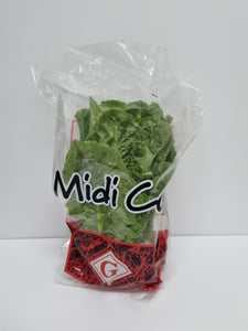 Lettuce- Midi cos (each)