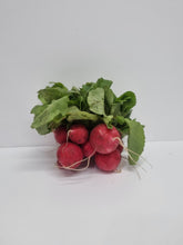 Load image into Gallery viewer, Radish (bunch)
