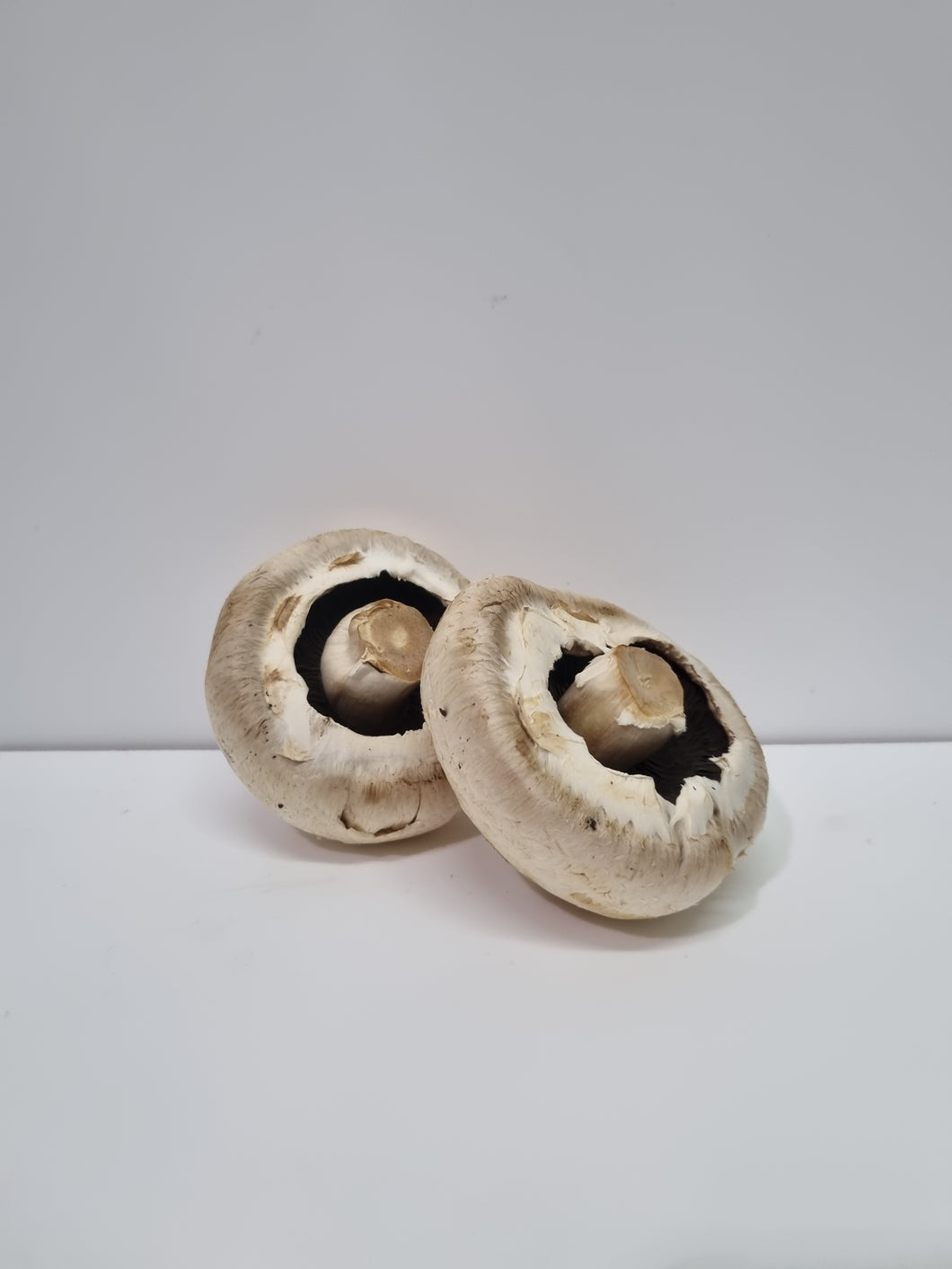Mushroom- Flat White (each)