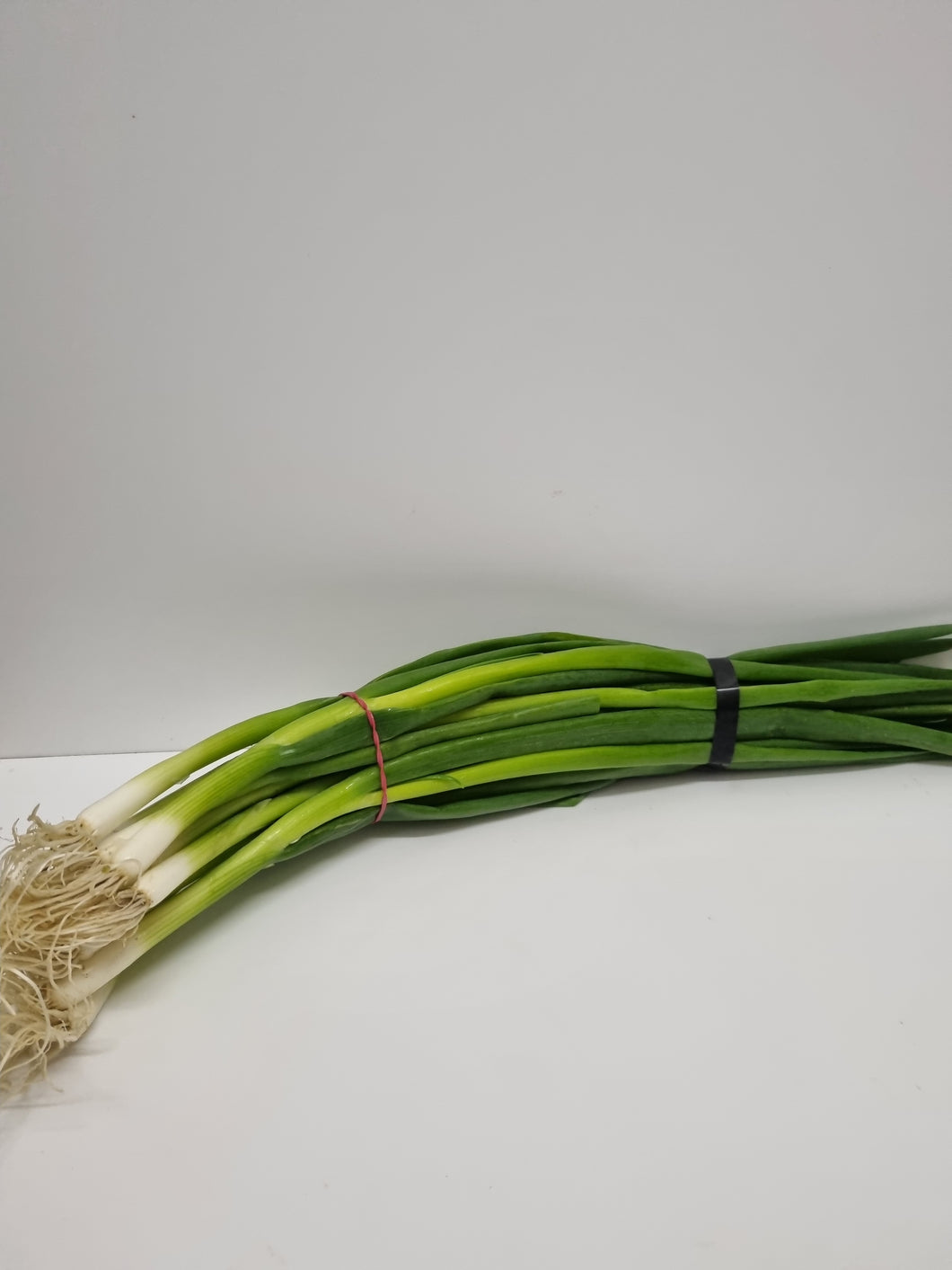 Onion- Spring (bunch)